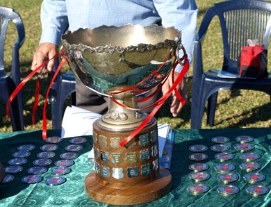 cup